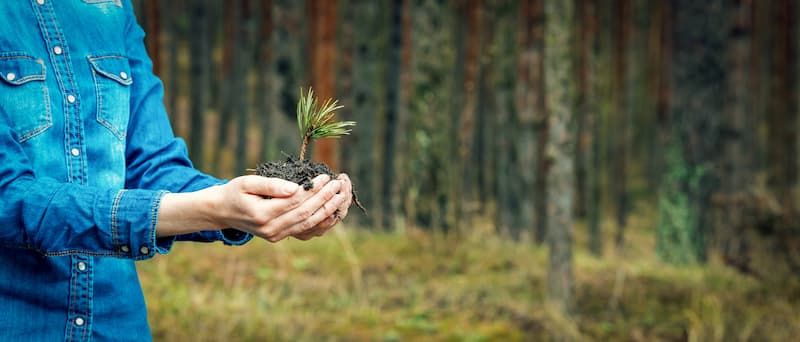 man holding small plant