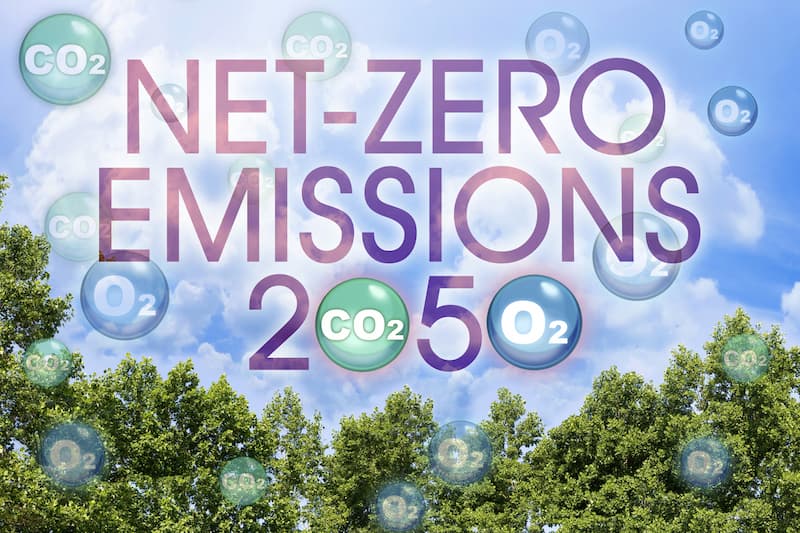 net zero 2050