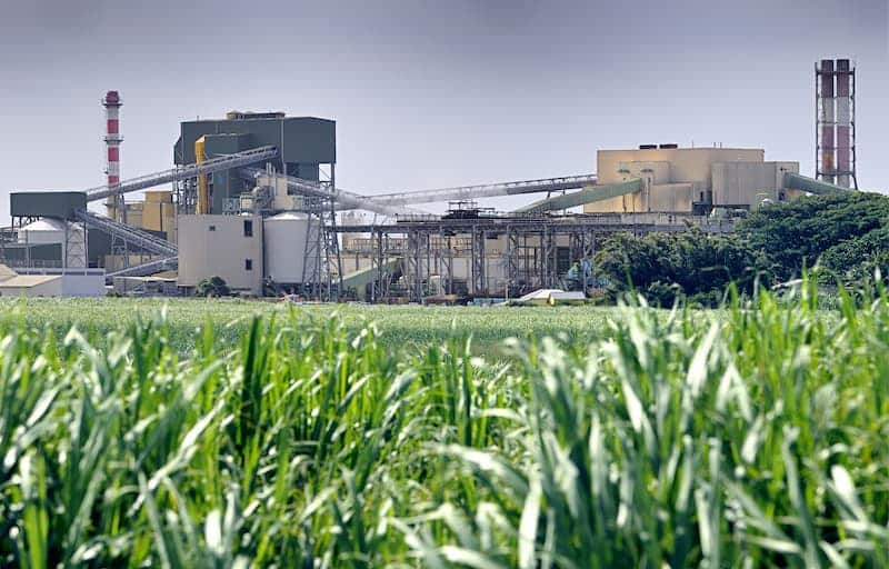 green factory