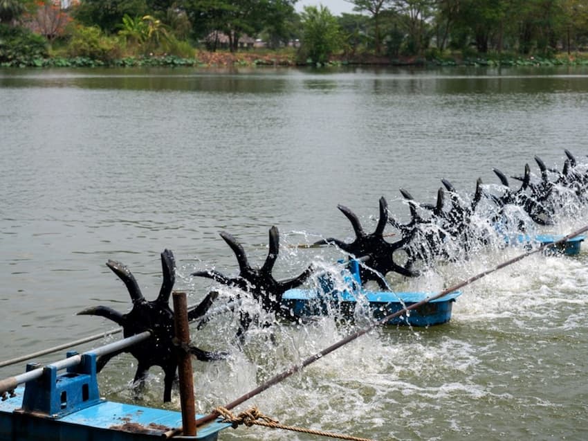 A water turbine in a lake