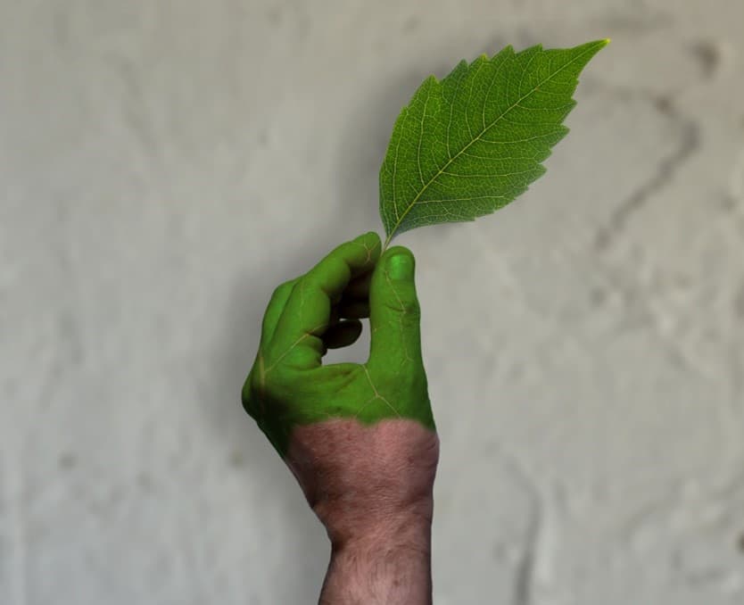 A hand with a green painted hand holding a leaf